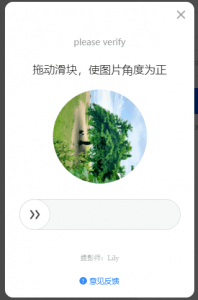 Verify that you are Human - Baidu Wangpan Login