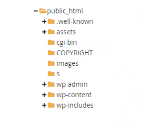 Under public_html select wp-content