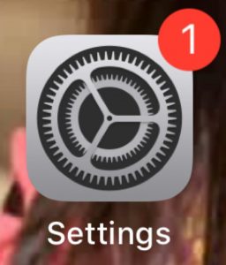 Settings Icon on Iphone