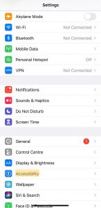 Settings Page on iPhone - Turn on Flash Light for Alerts and Notifications on iPhone