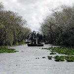 How to Book Airboat Everglades Adventure Tour in Orlando Florida