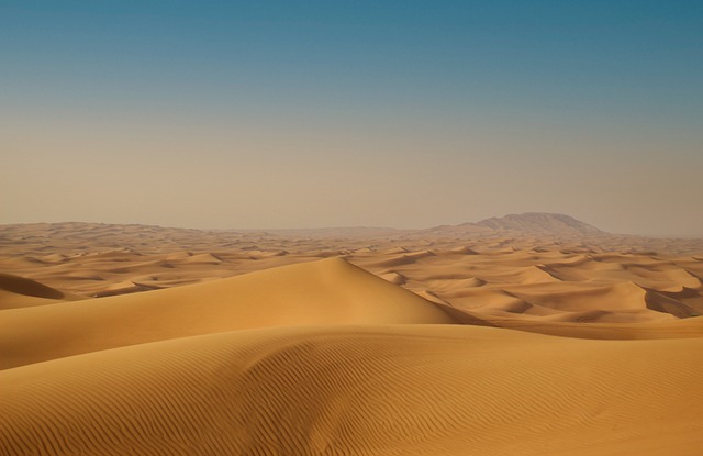Desert Safari Tour in Dubai