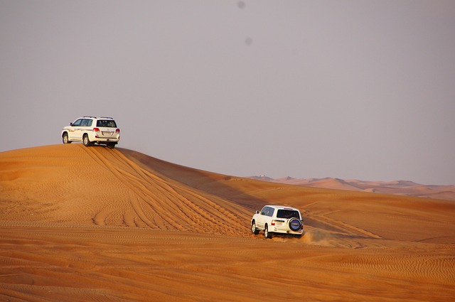 Dune Bashing - Desert Safari Tour in Dubai